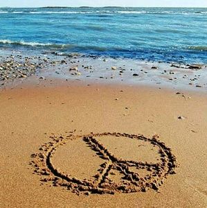 Meet your Posher, Liz